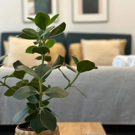 Homestay szállás Luxuoso No Centro De
